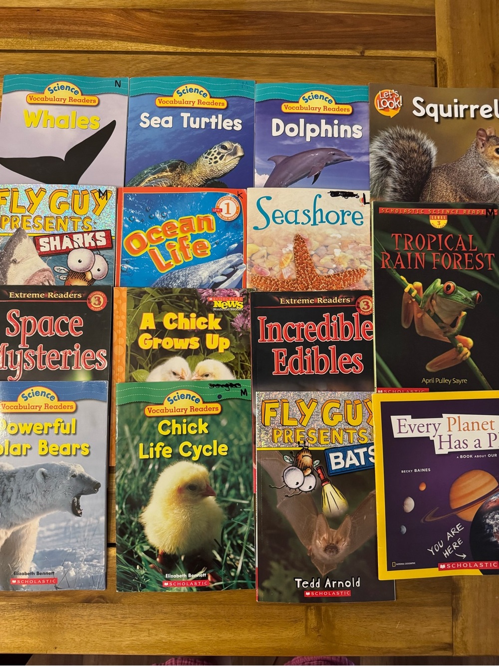 15 Children's Science Books - Lot - Colorful Animal & Nature Titles